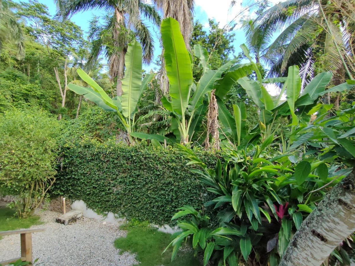 House Jardin Del Caribe Aparthotel Las Terrenas Eksteriør bilde
